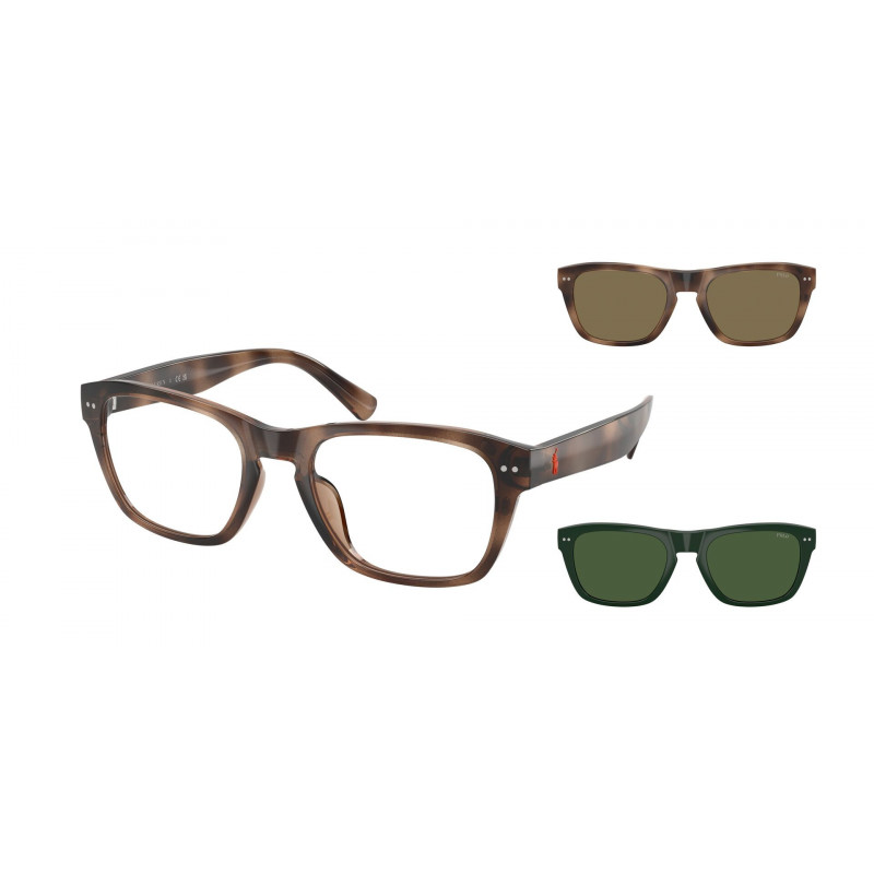 Sunglasses Polo PH 4254 U 500373 Shiny Dark Havana / Brown Polyamide Standard 53mm