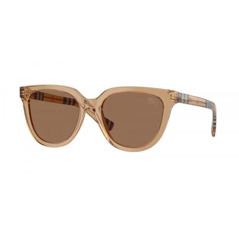 Sunglasses Burberry BE 4469 416473 Beige / Dark Brown Polyamide Standard 53mm