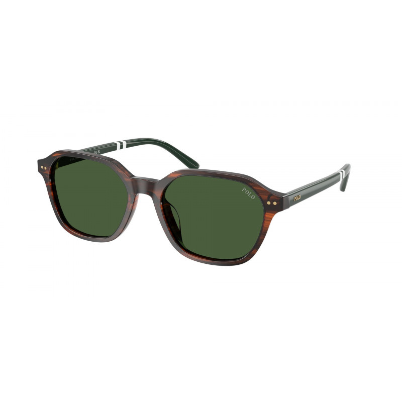 Sunglasses Polo PH 4234 U 631571 Shiny Striped Brown / Bottle Green Polyamide Standard 54mm