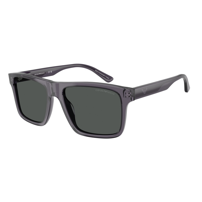 Sunglasses Emporio Armani EA 4232 610687 Transparent Dark Grey / Smoke Polyamide Standard