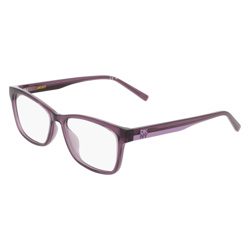 Eyeglasses DKNY DK 5099 505 Crystal Plum 54mm