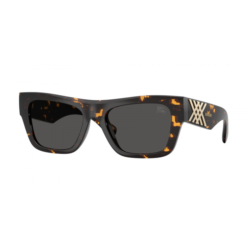 Sunglasses Burberry BE 4490 U 410687 Yellow Havana / Dark Grey Polyamide Standard 53mm