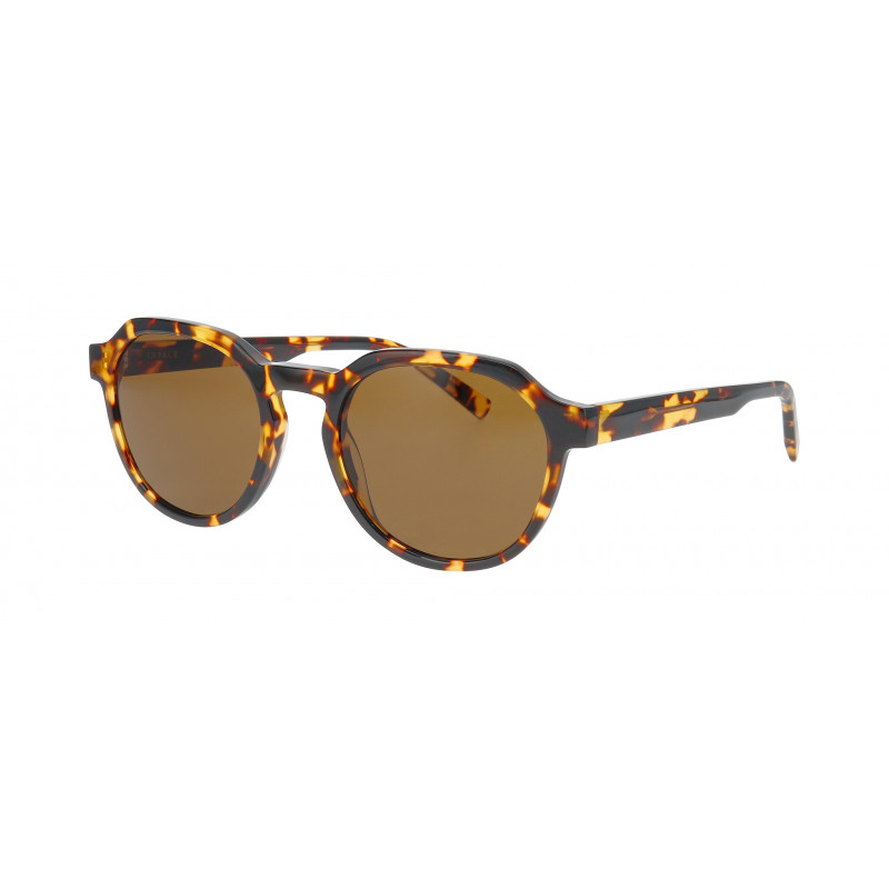 Sunglasses Inface FAVORITE 5434 Tortoise Dark Demi 54mm