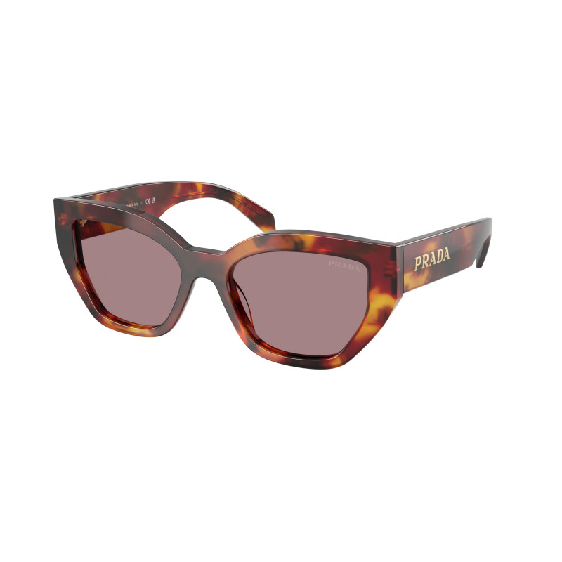 Sunglasses Prada PR A 09 SF 22A20I Poppy Tortoise / Light Purple Brown Polyamide Standard