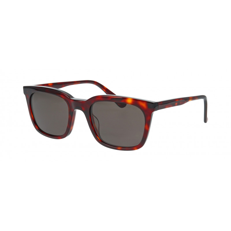 Sunglasses Nifties NI 9885 5534 Havana / Brown