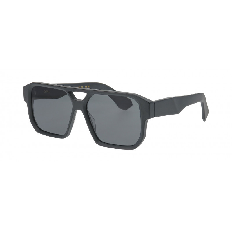 Sunglasses Pro-design Denmark COAL 6031 Black Dark Matt