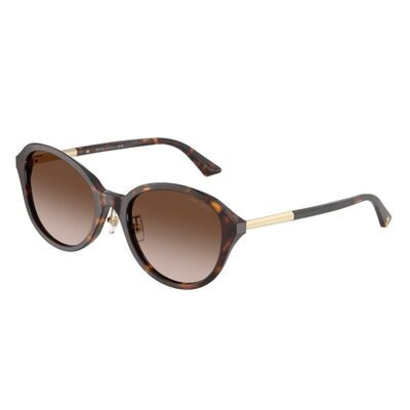 Sunglasses Jimmy Choo JC 5044 D 500213 Havana / Gradient Brown Polyamide Standard 54mm