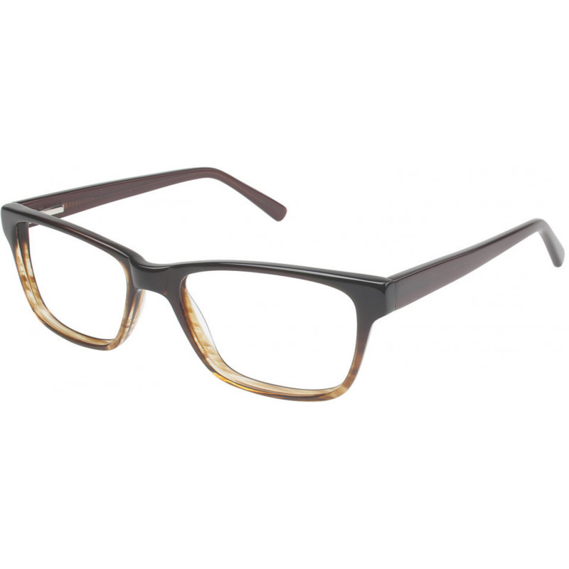 Eyeglasses VISION'S 204 C02 Brown Fade 51mm