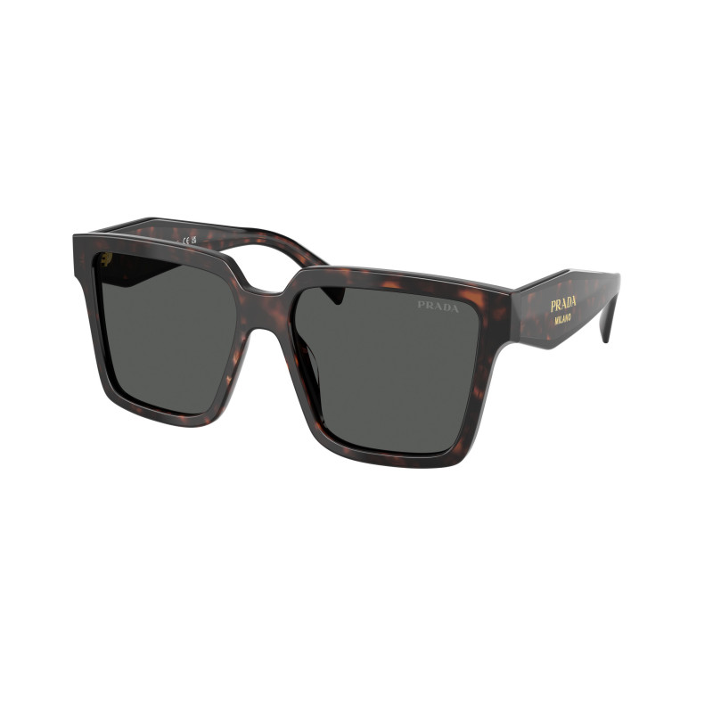 Sunglasses Prada PR 24 ZSF 17N40L Root Tortoise / Dark Grey Polyamide Standard