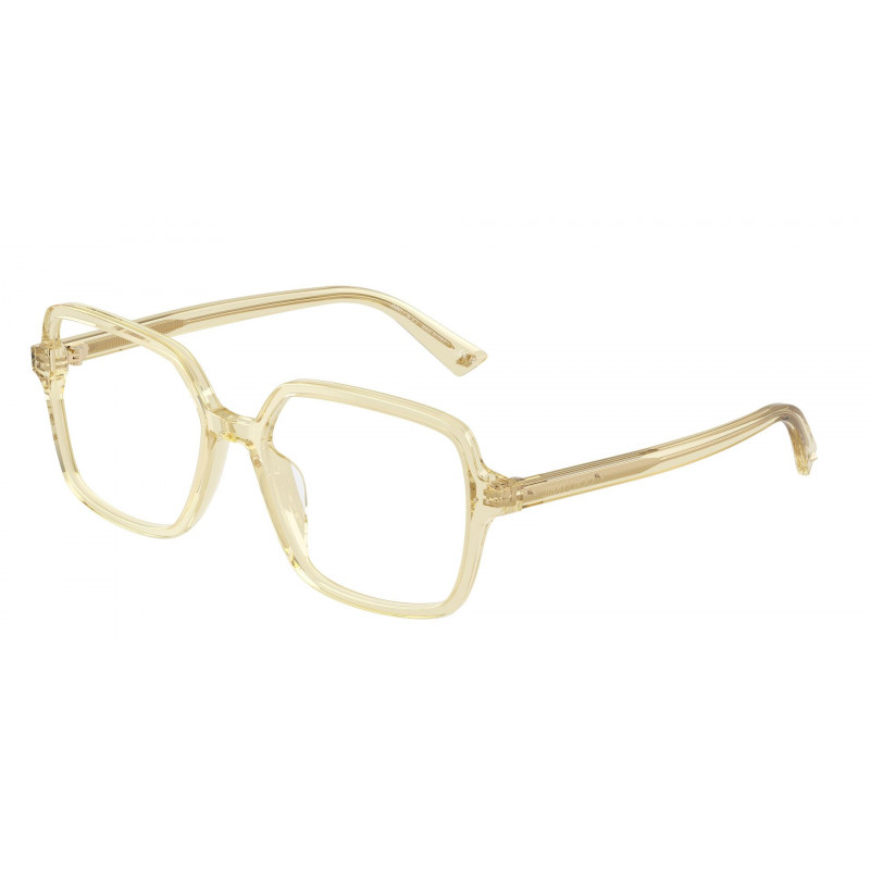 Eyeglasses Jimmy Choo JC 3046 U 5083 Transparent Yellow / Demo Lens 55mm