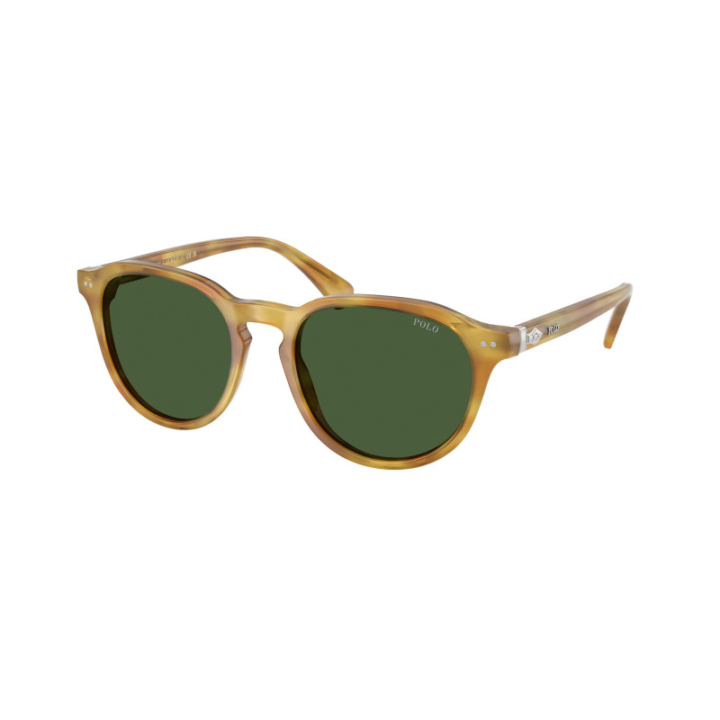 Sunglasses Polo PH 4221 618571 Shiny Tortoise Light Brown / Bottle Green Polyamide Standard 52mm