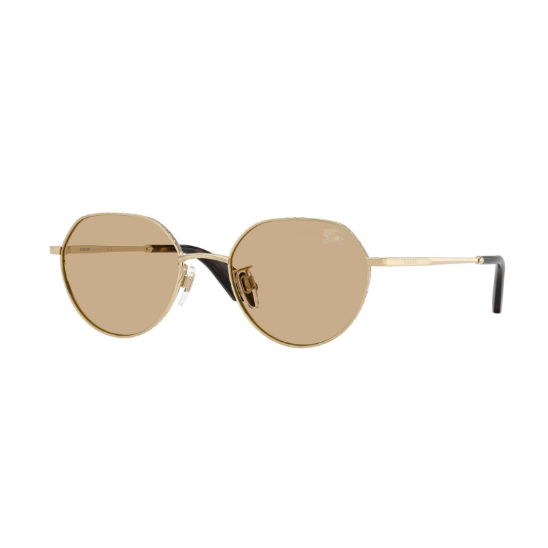 Sunglasses Burberry BE 3173 D 110973 Light Gold / Dark Brown Polyamide Standard 51mm