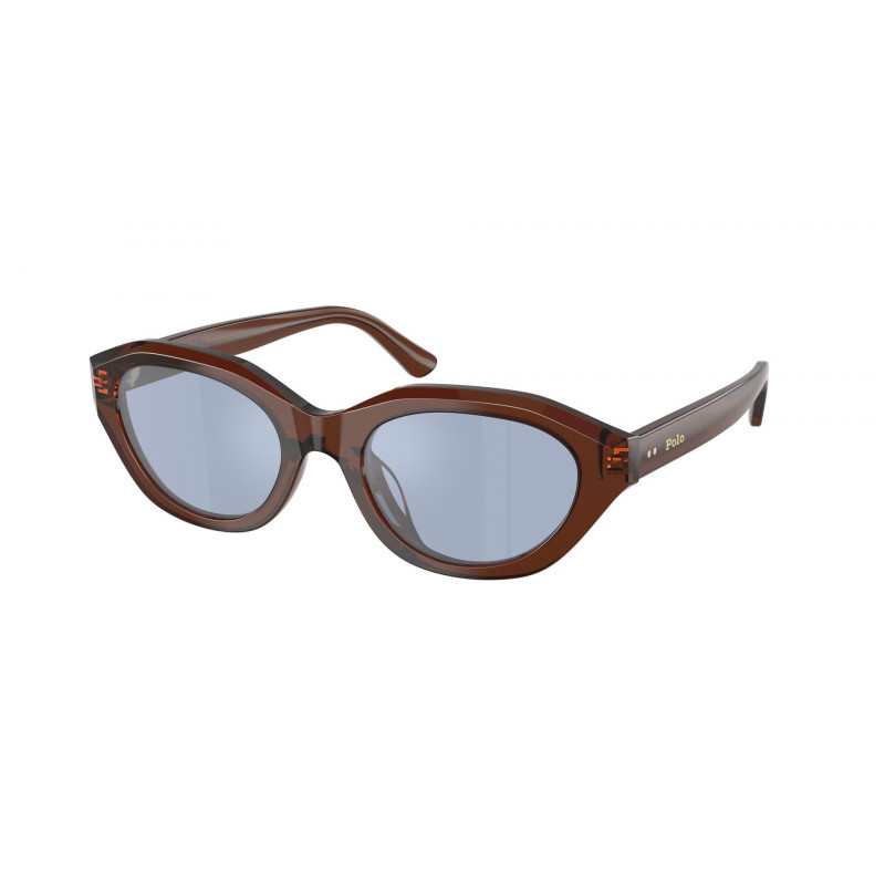 Sunglasses Polo PH 4237 U 63531U Shiny Transparent Brown / Light Blue Mirror Silver Polyamide Standard 52mm