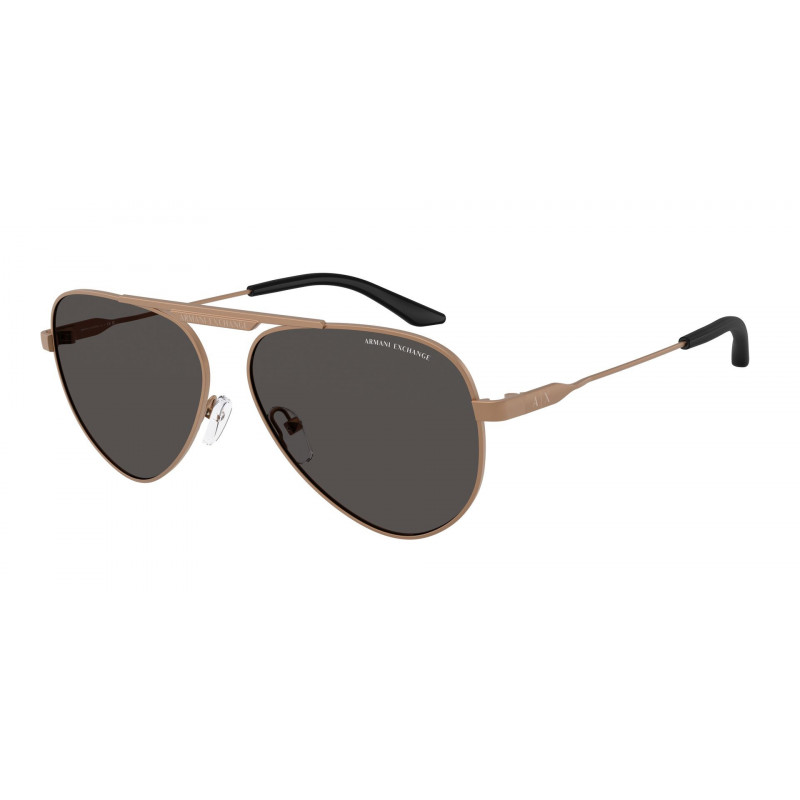 Sunglasses Armani Exchange AX 2060 S 610687 Matte Bronze / Dark Grey Policarbonate Standard 58mm