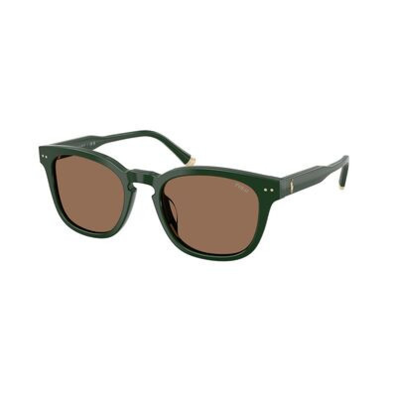 Sunglasses Polo PH 4242 U 614073 Shiny Dark Green / Brown Polyamide Standard 52mm