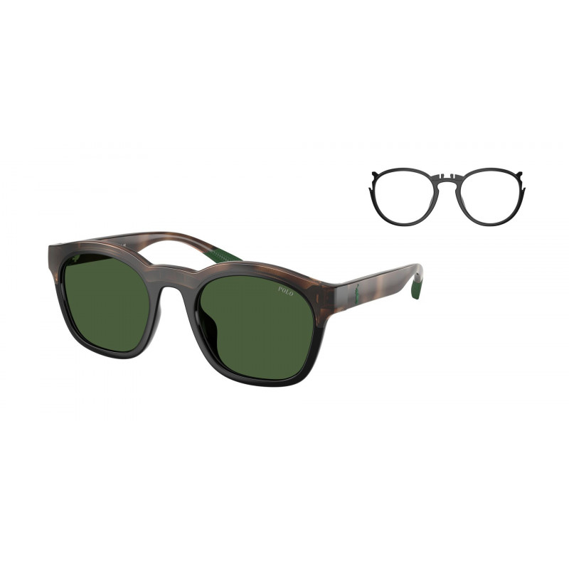 Sunglasses Polo PH 4243 U 607071 Shiny Havana/Black / Dark Green Policarbonate Standard 51mm