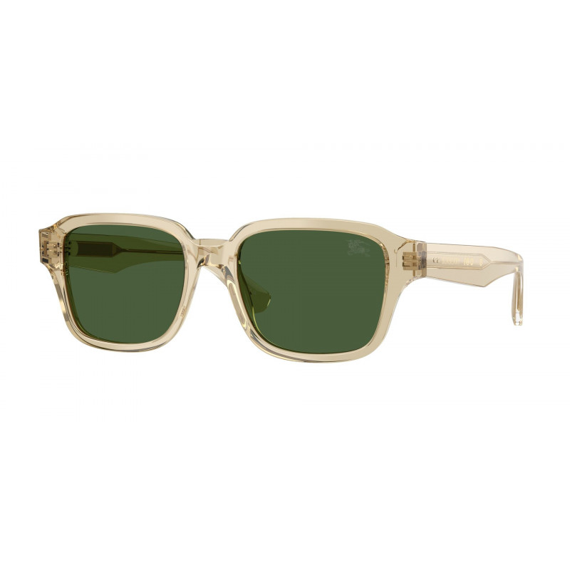 Sunglasses Burberry BE 4484 422671 Beige / Dark Green Polyamide Standard 53mm