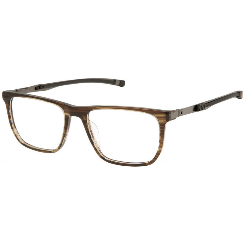 Eyeglasses Champion RETAIN 100 C02 Brown/Horn 54mm