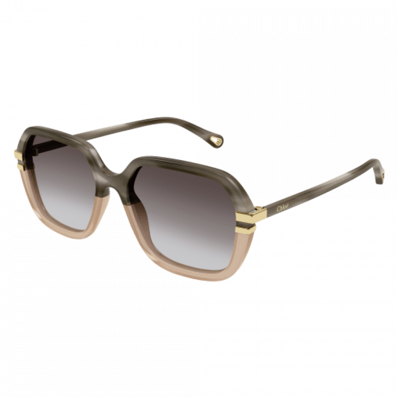 Sunglasses Chloé CH 0204 S- 004 Grey / Brown 57mm