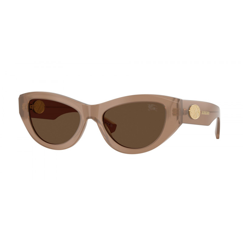 Sunglasses Burberry BE 4502 425873 Beige / Dark Brown Polyamide Standard 53mm
