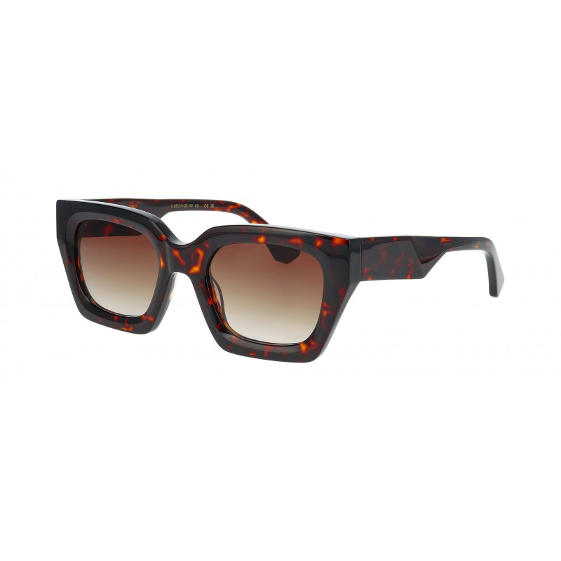 Sunglasses Pro-design Denmark ICE 5522 Havana / Brown 51mm
