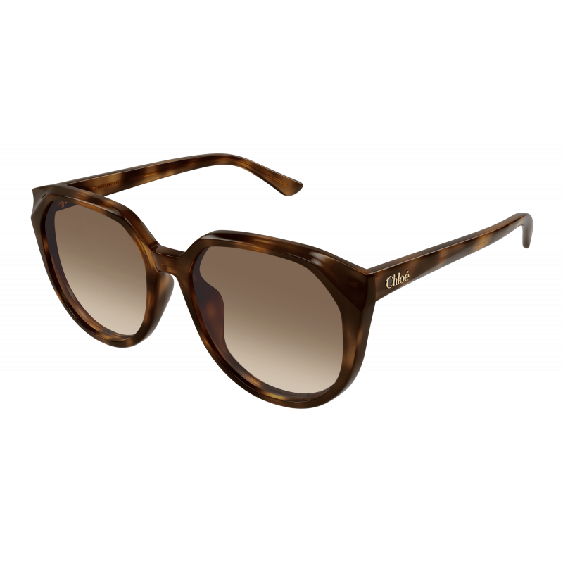 Sunglasses Chloé CH 0291 SK- 003 Havana / Brown 58mm