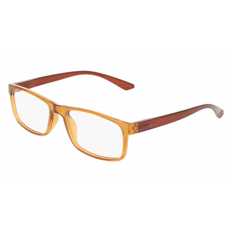 Eyeglasses CK 19569 N 201 Transparent Light Brown 55mm