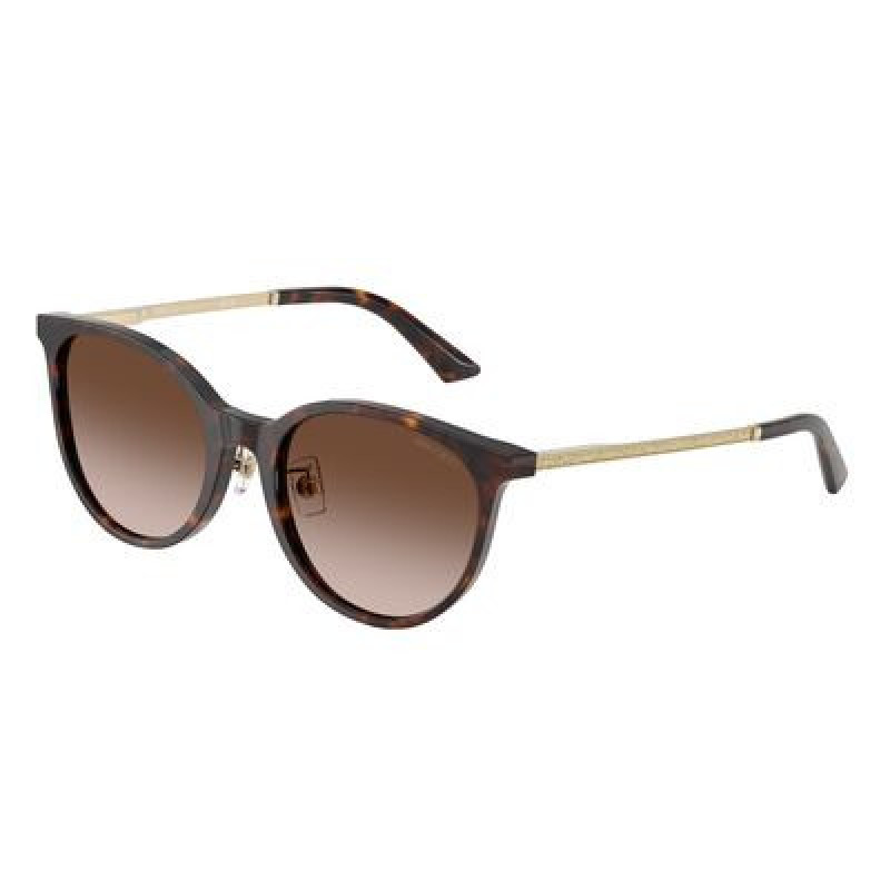 Sunglasses Jimmy Choo JC 5056 JD 500213 Havana / Gradient Brown Polyamide Standard 54mm