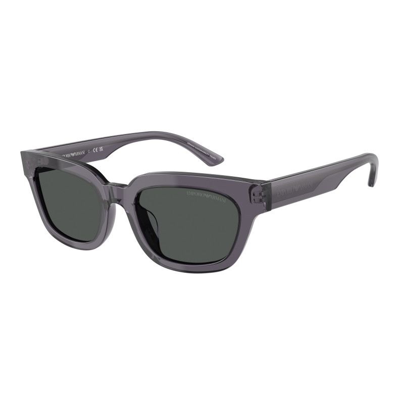 Sunglasses Emporio Armani EA 4233 U 610687 Transparent Grey / Dark Polyamide Standard