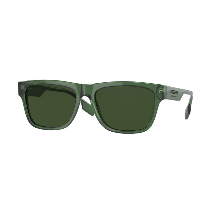 Sunglasses Burberry BE 4293 394671 Green 56mm