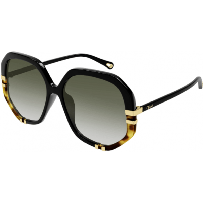 Sunglasses Chloé CH 0105 S- 002 Black / Green 58mm