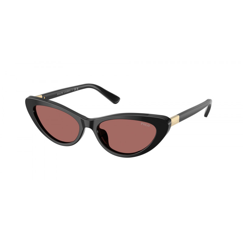 Sunglasses Polo PH 4199 U 500169 Shiny Black / Dark Violet Polyamide Standard 54mm