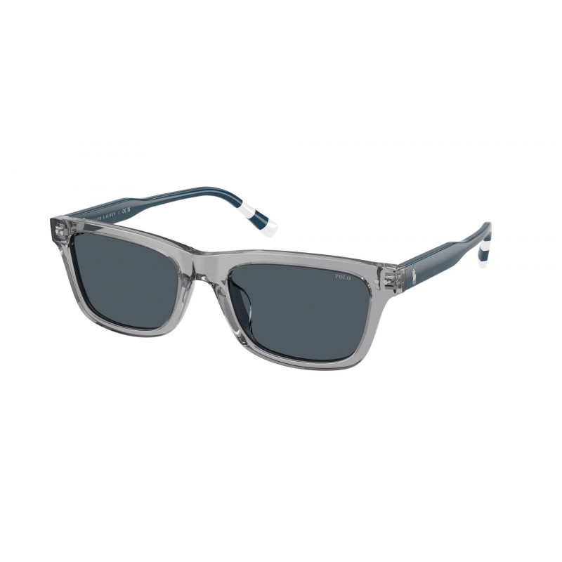 Sunglasses Polo PH 4240 U 631787 Shiny Transparent Grey / Dark Polyamide Standard 54mm