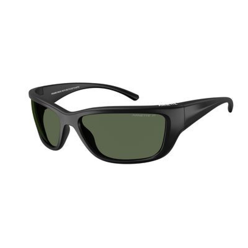 Sunglasses Arnette AN 4353 29009A Matte Black / Polar Dark Green Policarbonate Polarized 63mm