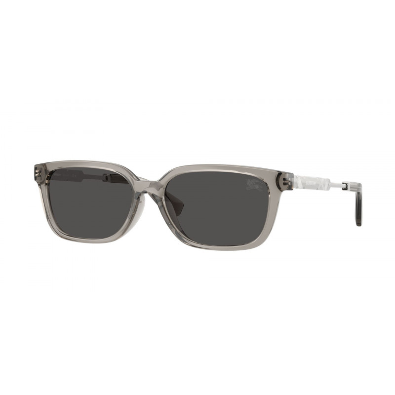 Sunglasses Burberry BE 4481 D 419787 Grey / Dark Polyamide Standard 54mm