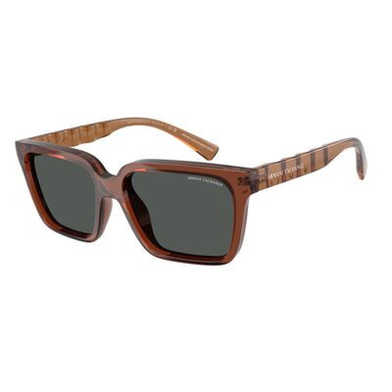 Sunglasses Armani Exchange AX 4147 SF 835887 Shiny Transparent Brown / Dark Grey Polyamide Standard 56mm