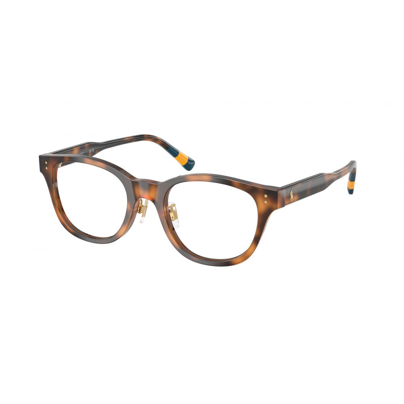 Eyeglasses Polo PH 2303 F 5003 Shiny Dark Havana/Demo 50mm
