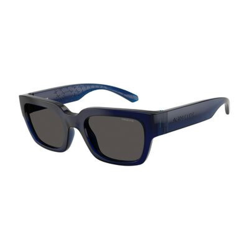 Sunglasses Arnette AN 4354 299087 Transparentblue / Dark Grey Policarbonate Standard 49mm