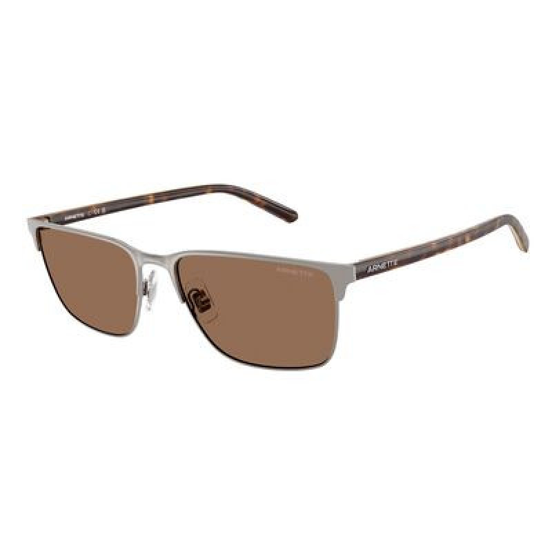 Sunglasses Arnette AN 3094 738/73 Brushed Gunmetal / Dark Brown Policarbonate Standard 58mm