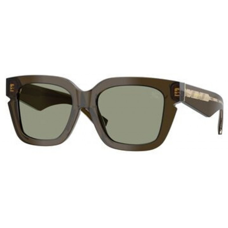 Sunglasses Burberry BE 4453 F 3010/2 Green / Polyamide Standard 54mm