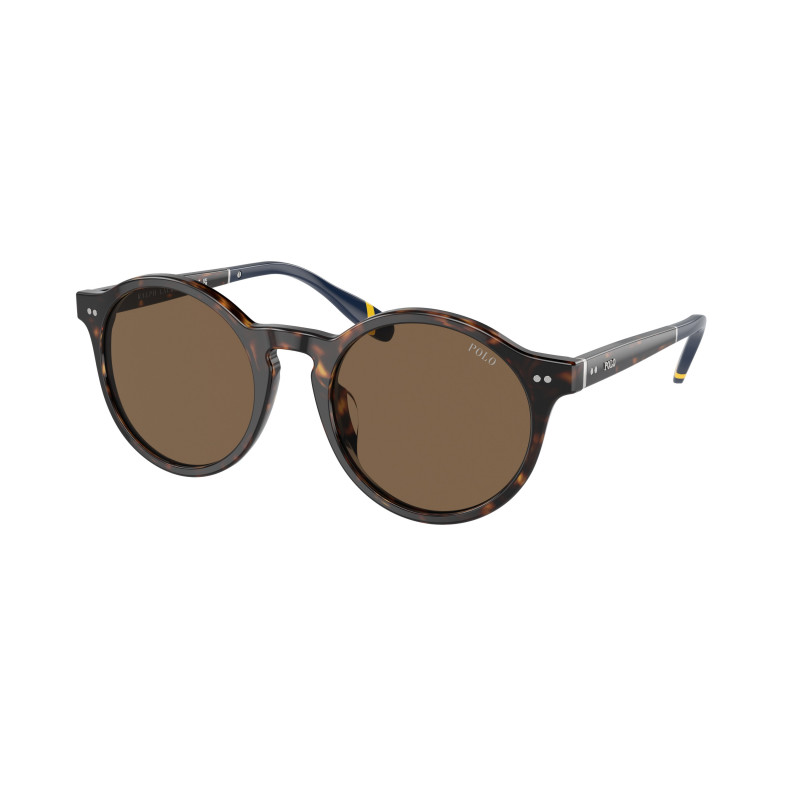 Sunglasses Polo PH 4204 U 500373 Shiny Dark Havana Brown 53mm