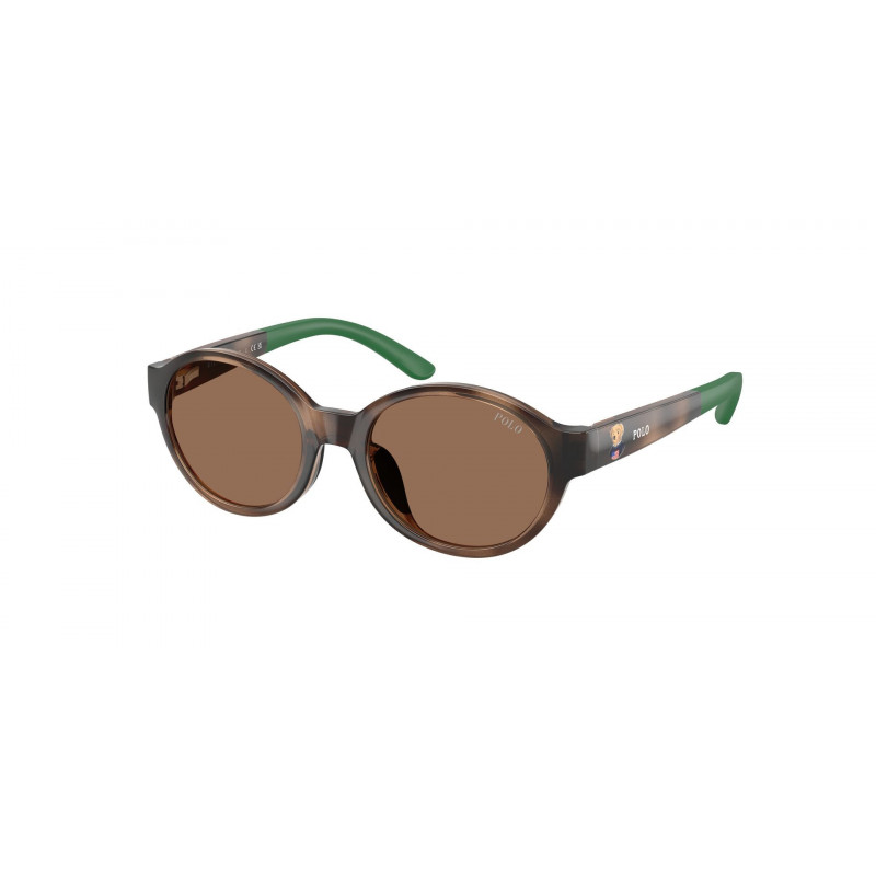 Sunglasses Polo Prep PP 9510 U 500373 Shiny Dark Havana / Brown Polyamide Standard