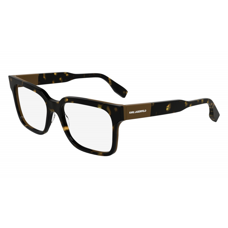 Eyeglasses KARL LAGERFELD KL 6173 245 Dark Tortoise/Beige 55mm