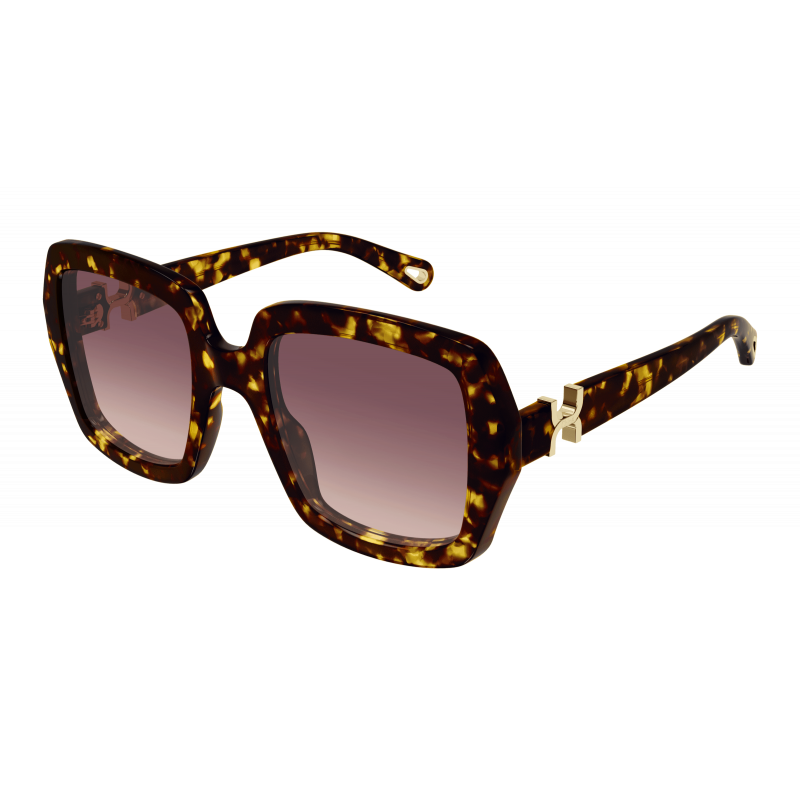 Sunglasses Chloé CH 0301 S- 002 Havana / Red 52mm