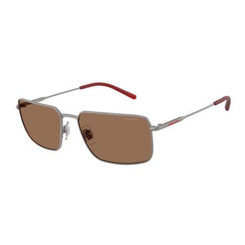 Sunglasses Arnette AN 3095 745/73 Matte Gunmetal / Dark Brown Policarbonate Standard 58mm