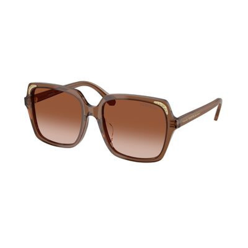 Sunglasses Swarovski SK 6034 D 106713 Transparent Brown / Gradient Polyamide Standard 56mm