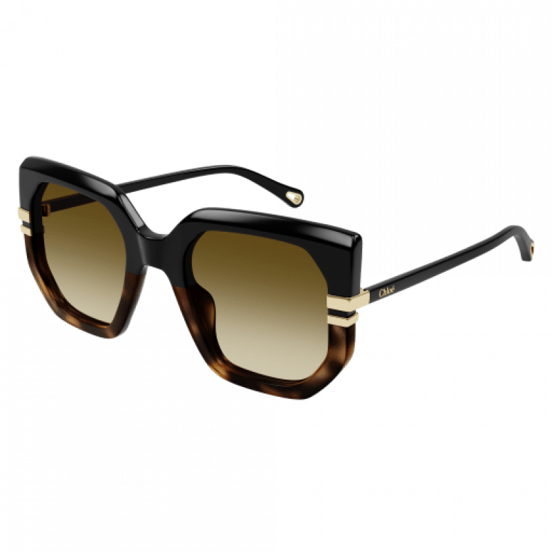 Sunglasses Chloé CH 0240 S- 003 Black / Brown 53mm