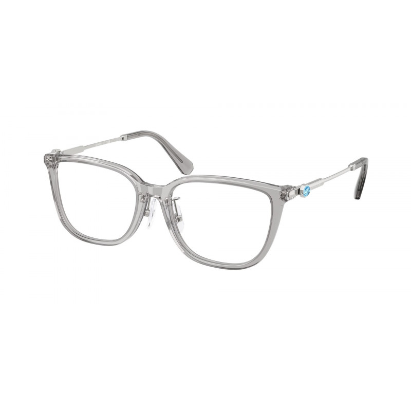 Eyeglasses Swarovski SK 2041 D 1069 Transparent Grey Demo Lens 54mm