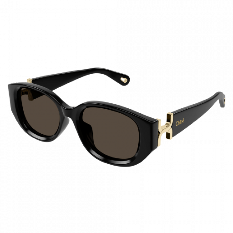 Sunglasses Chloé CH 0237 SK- 001 Black / Brown 54mm