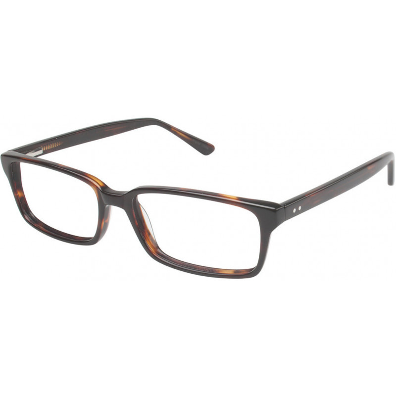 Eyeglasses VISION'S 202 C02 Tortoise 53mm
